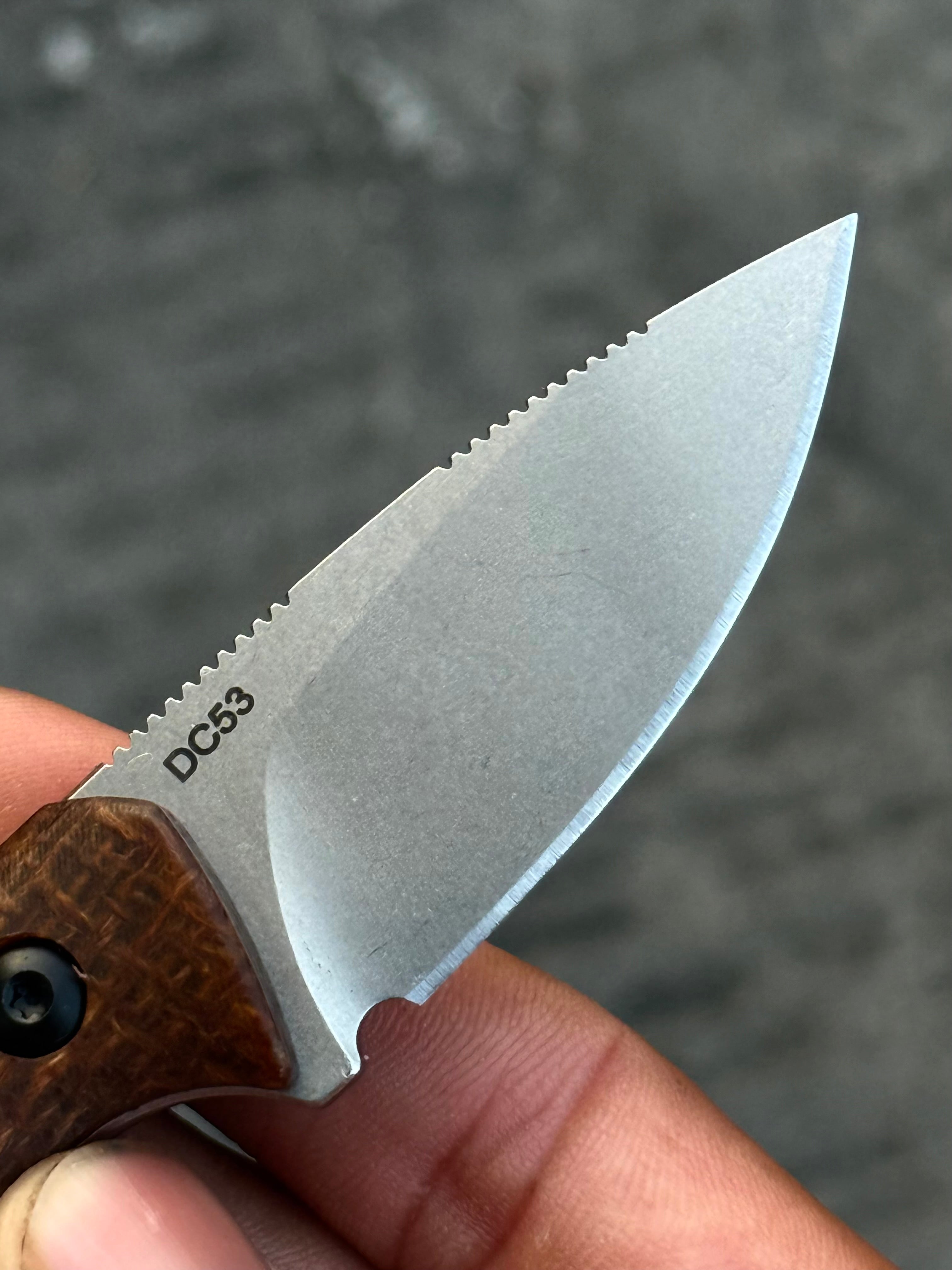 SDOKEDC mini Back-up Fixed Blade