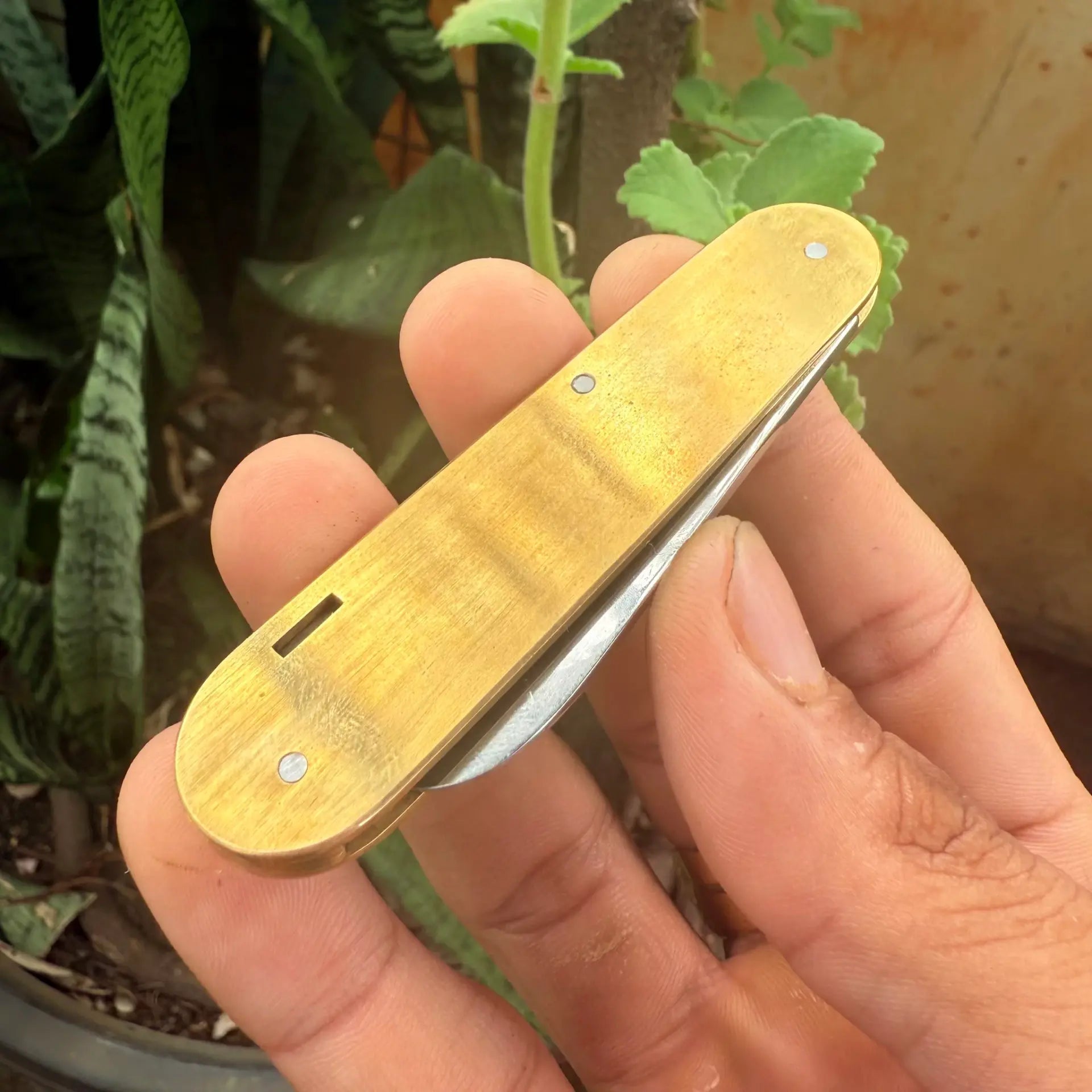 Brass 84mm Custom Soloist